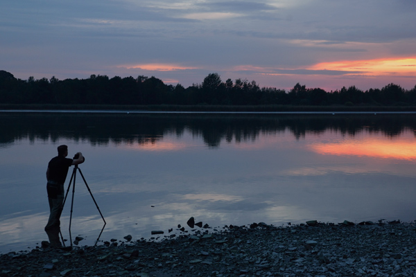 Abends im Wermsdorfer Teichgebiet (Danke an Andreas Richter für die Aufnahme)